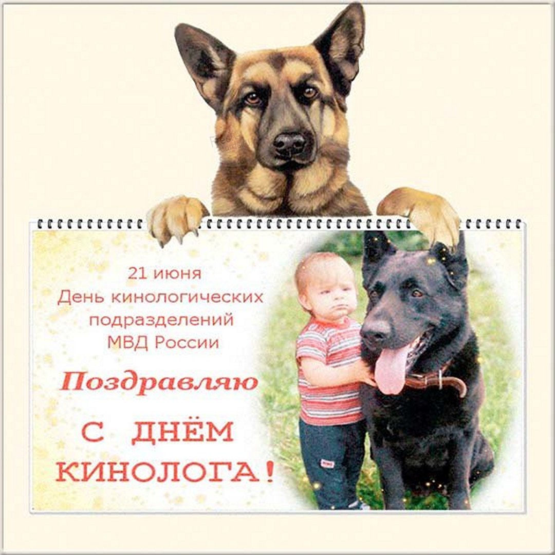 Тематическая открытка с днем кинолога Тематическая открытка с днем кинолога