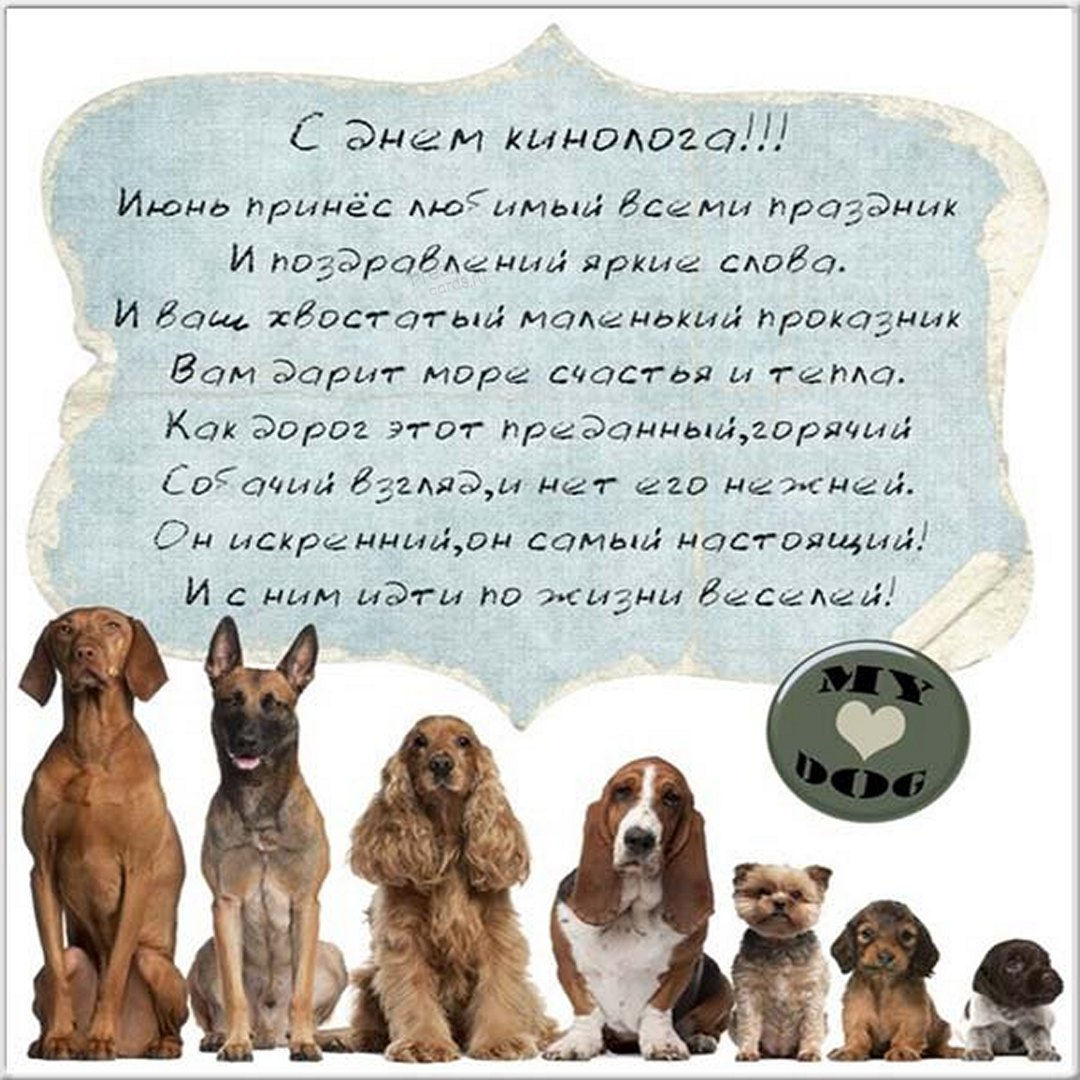 День кинолога поздравления. День кинолога поздравления.