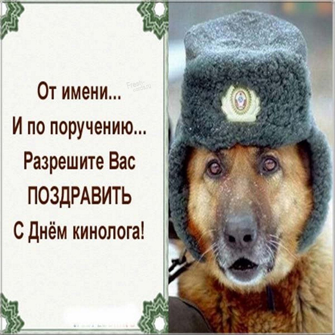 Картинка с днем кинолога в Вайбер или Вацап Картинка с днем кинолога в Вайбер или Вацап