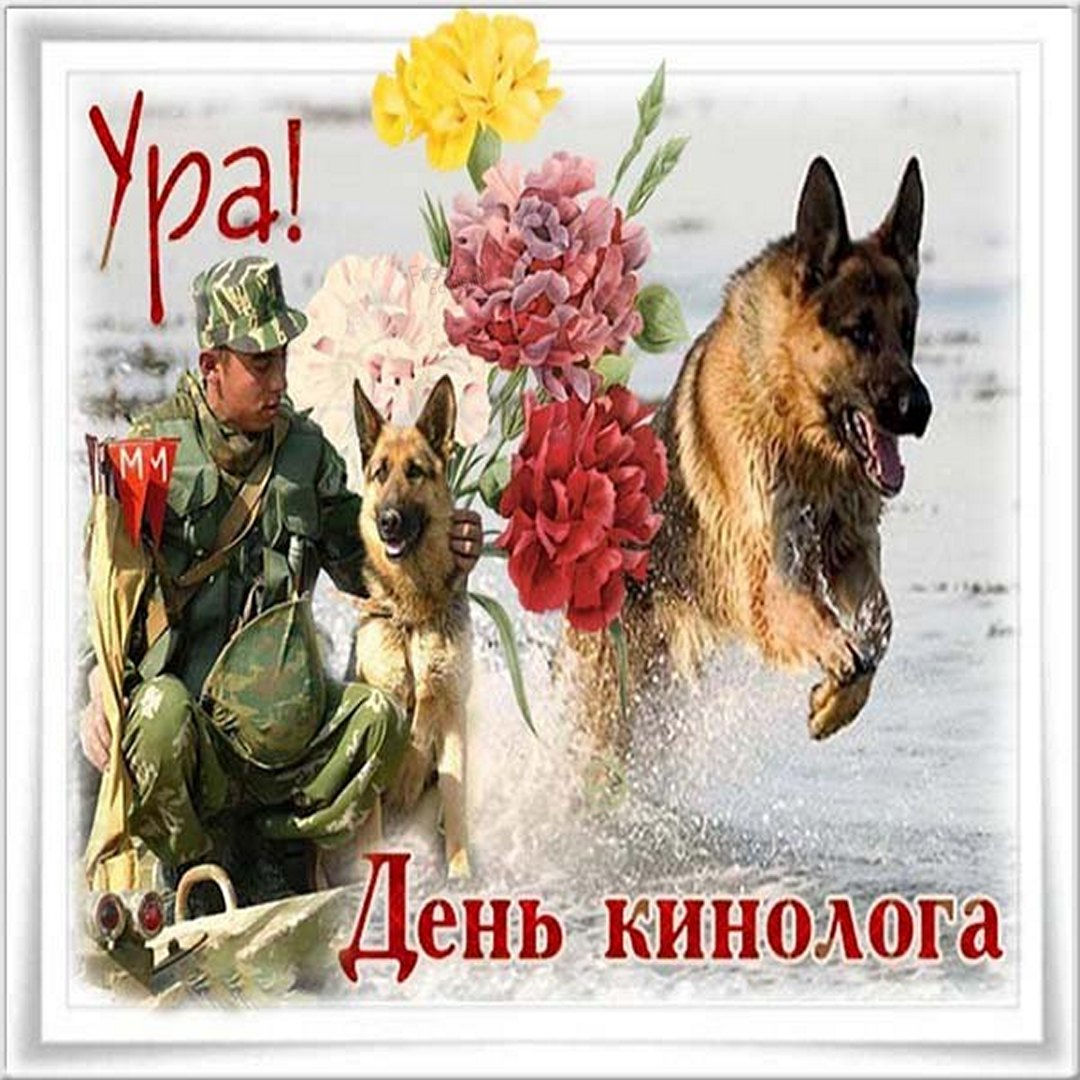 Красивые картинки День кинологических подразделений МВД России. Красивые картинки День кинологических подразделений МВД России.