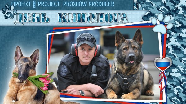 Большая картинка с днем кинолога Большая картинка с днем кинолога