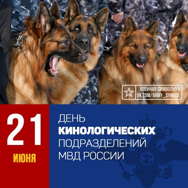 Красивые, прикольные открытки и картинки с днем кинолога! Скачайте или отправьте бесплатно любую открытку. Красивые, прикольные открытки и картинки с днем кинолога! Скачайте или отправьте бесплатно любую открытку.