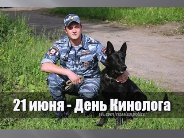 Открытки на День кинолога. Открытки на День кинолога.