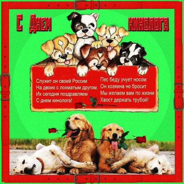 Прикольная картинка на день кинолога - скачать бесплатно. Прикольная картинка на день кинолога - скачать бесплатно.