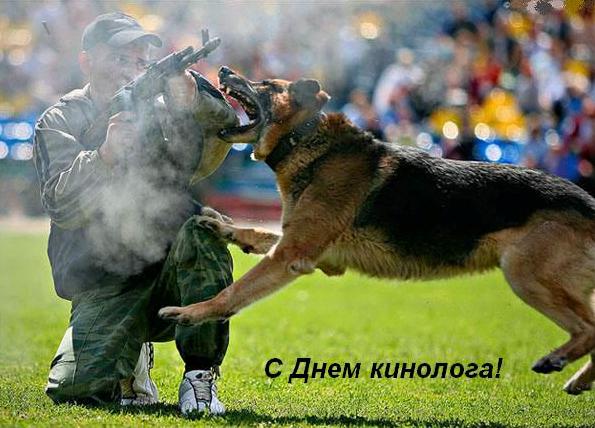Скачать бесплатно Открытки с пожеланиями на день кинолога 2022, 2023. Скачать бесплатно Открытки с пожеланиями на день кинолога 2022, 2023.