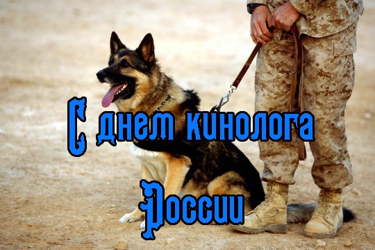 Поздравления с днем кинолога в картинках прикольные. Поздравления с днем кинолога в картинках прикольные.