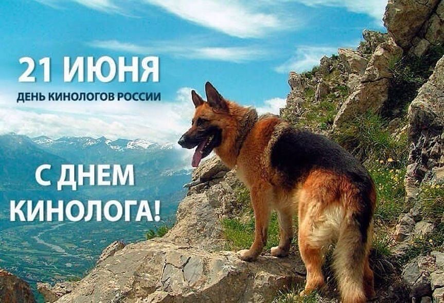 21 Июня день кинолога день кинологических подразделений МВД России. 21 Июня день кинолога день кинологических подразделений МВД России.