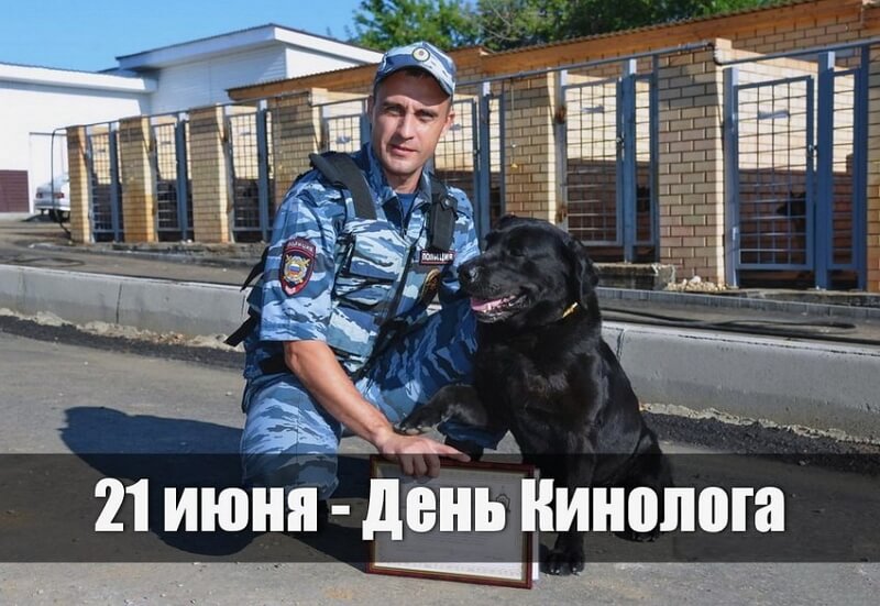 Скачать бесплатно открытку с днем кинолога. Скачать бесплатно открытку с днем кинолога.