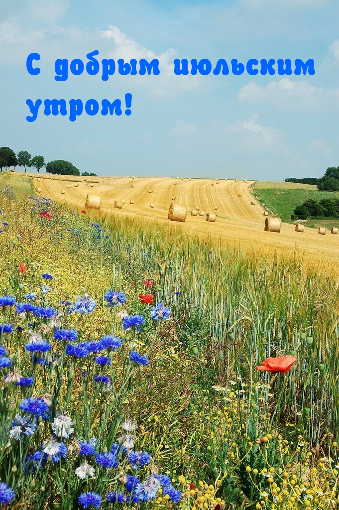 Доброе утро солнечного настроения