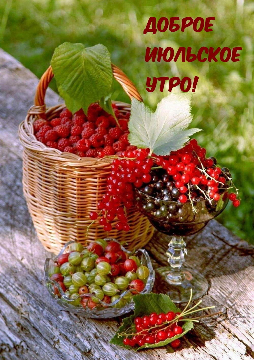 Красивые летние открытки - пожелания Доброго Июльского утра с природой (30 картинок).