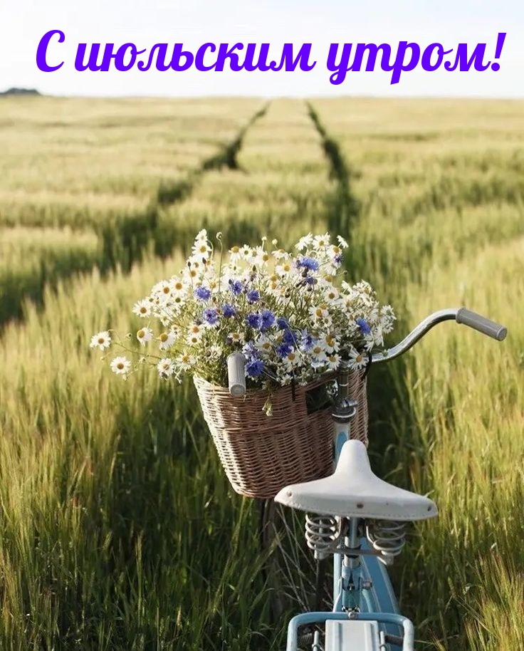 Пожелайте доброго утра, хорошего дня и прекрасного настроения кому хотите, для этого и создан раздел "Июль".