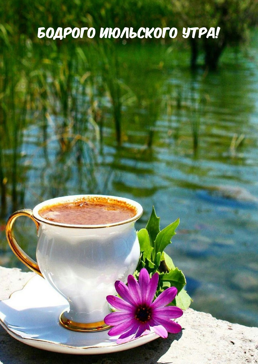 С добрым летним утром, дорогие друзья!