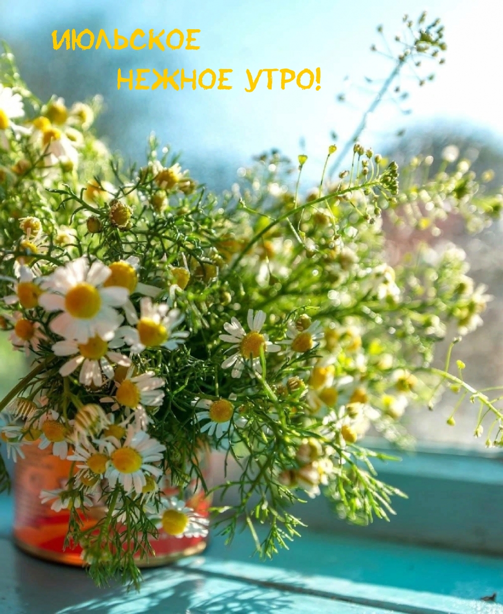 Необычные открытки с добрым утром.