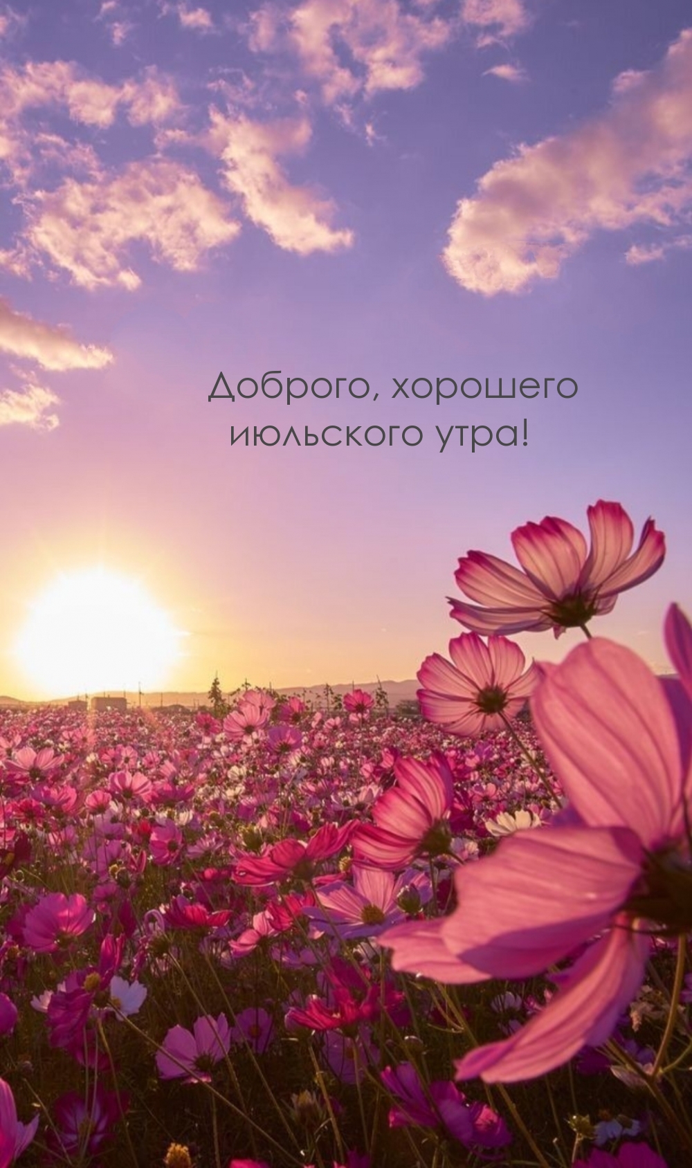 Прикольные картинки с добрым утром Июля.