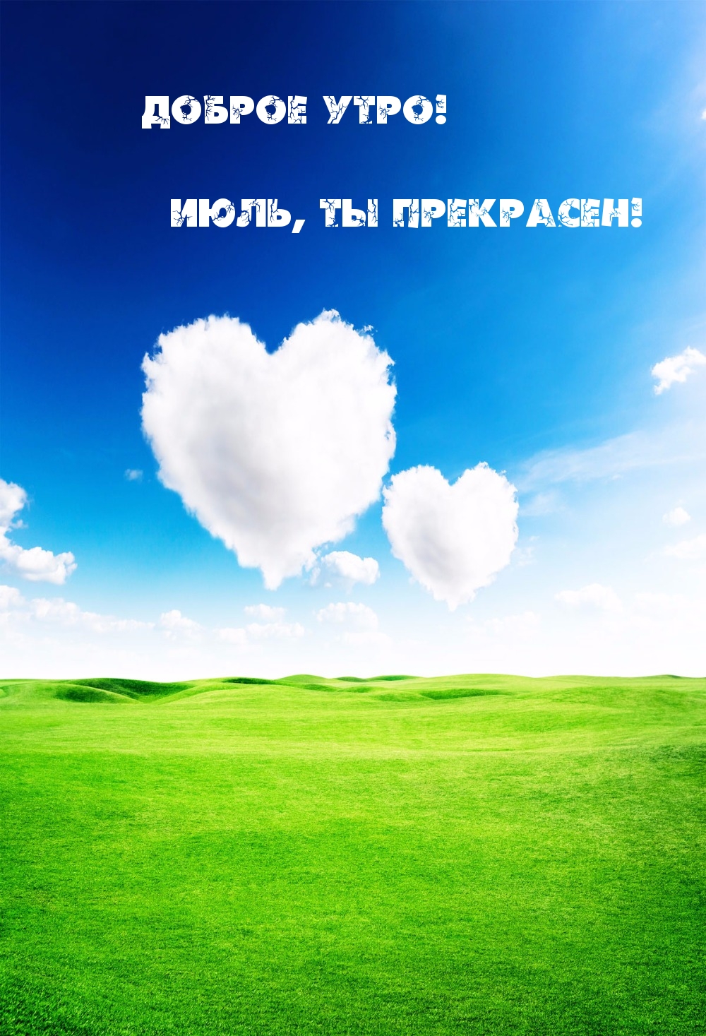 Летнее Июльское утро.