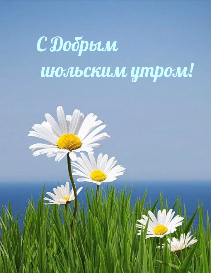 Доброе июльское утро!, Июль, картинка.