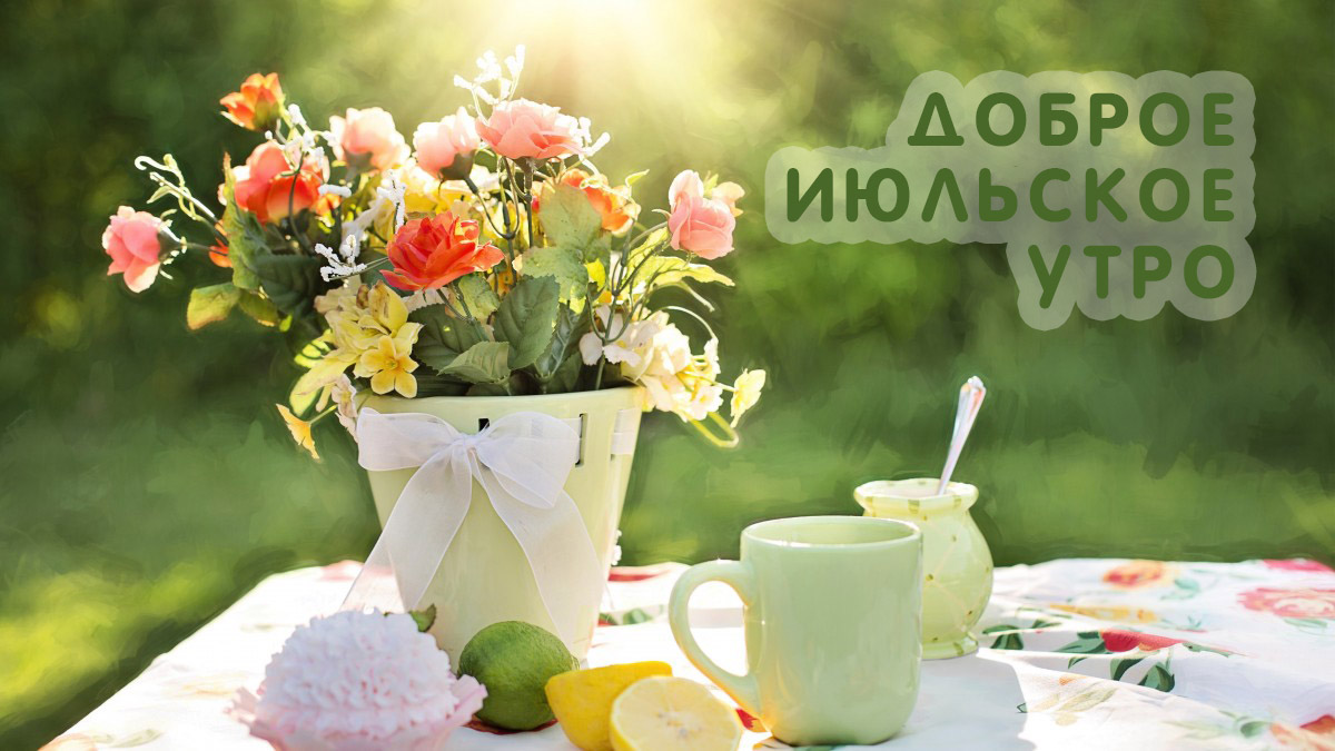 Июльское Утро Картинки С Пожеланиями.