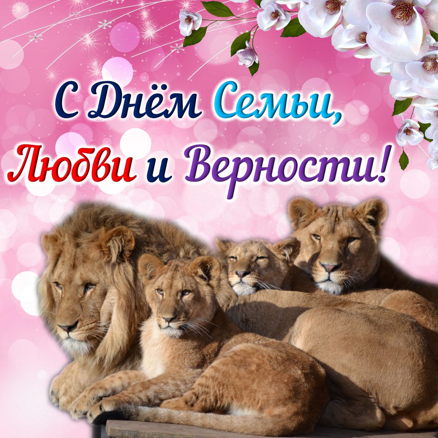 Открытка со львами на День семьи. Открытка со львами на День семьи.