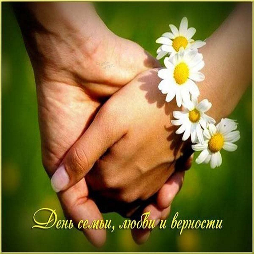 8 июля День семьи, любви и верности. 8 июля День семьи, любви и верности.