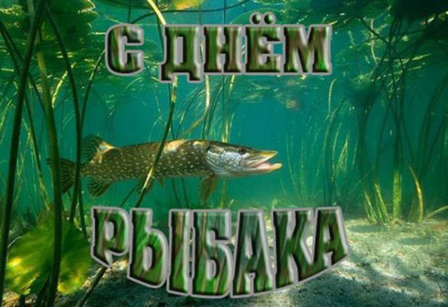 День рыбака 11 июля: открытки и поздравления День рыбака 11 июля: открытки и поздравления