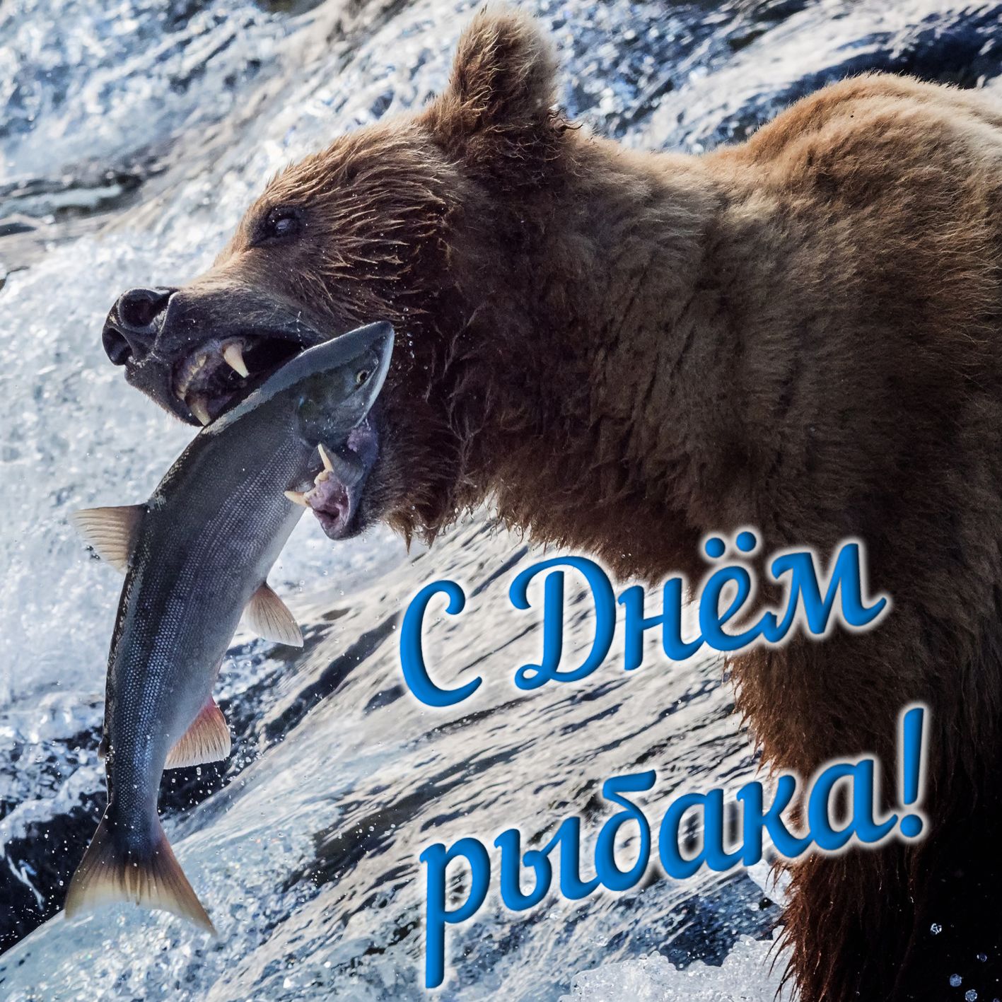 Картинка с медведем на рыбалке. Картинка с медведем на рыбалке.