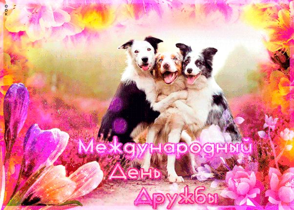 Международный день друзей. Международный день друзей.