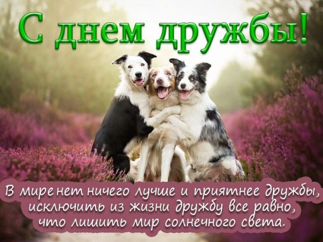 Открытки и картинки в Международный День Друзей. Открытки и картинки в Международный День Друзей.