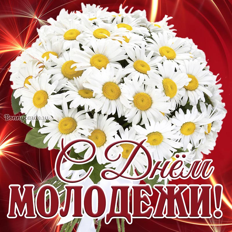 Красивая открытка с букетом ромашек с Днём молодёжи.
