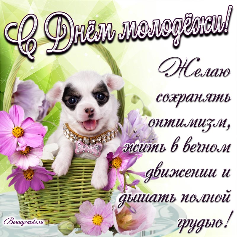 Картинка с собакой и поздравлением на День молодёжи.
