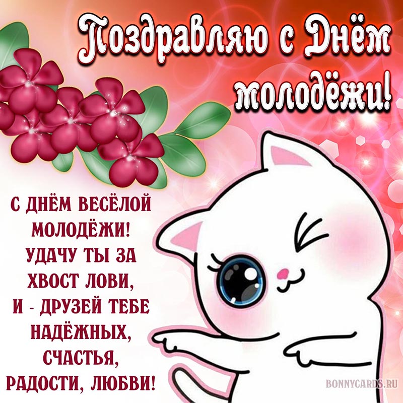 Весёлая открытка с котом и стихами на День молодежи.