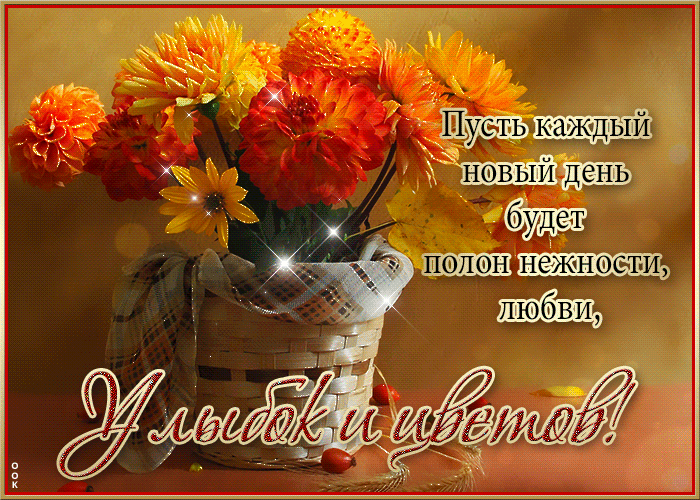 Гифка Поздние осенние полевые цветы с пожеланиями в стихах и прозе