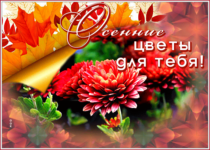 Гиф анимация Осенние цветы для тебя!