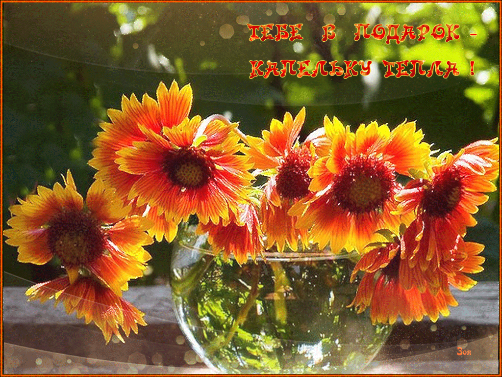 Осенние цветы, вы так прекрасны. Доброе утро осенние цветы.