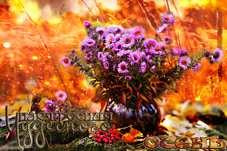 Анимационная гиф Открытка осенние цветы для тебя