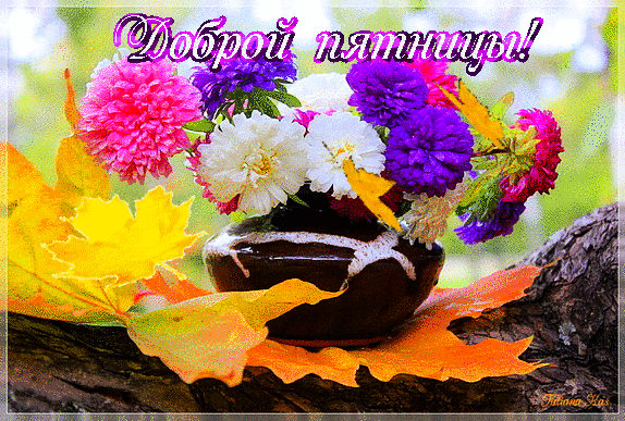 Осенние цветы гифки. Доброе утро осенний букет с пожеланием, Доброе утро пятница осень цветы, Доброе утро с осенними цветами анимация.