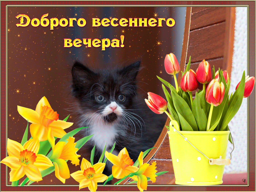 Гифки доброго весеннего вечера. Доброго весеннего вечера, Хорошего весеннего вечера, Пожелание доброго предвесеннего вечера.