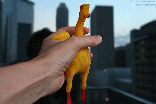 Гифка смешно giving birth курица гиф картинка, скачать Гифка смешно giving birth курица гиф картинка, скачать