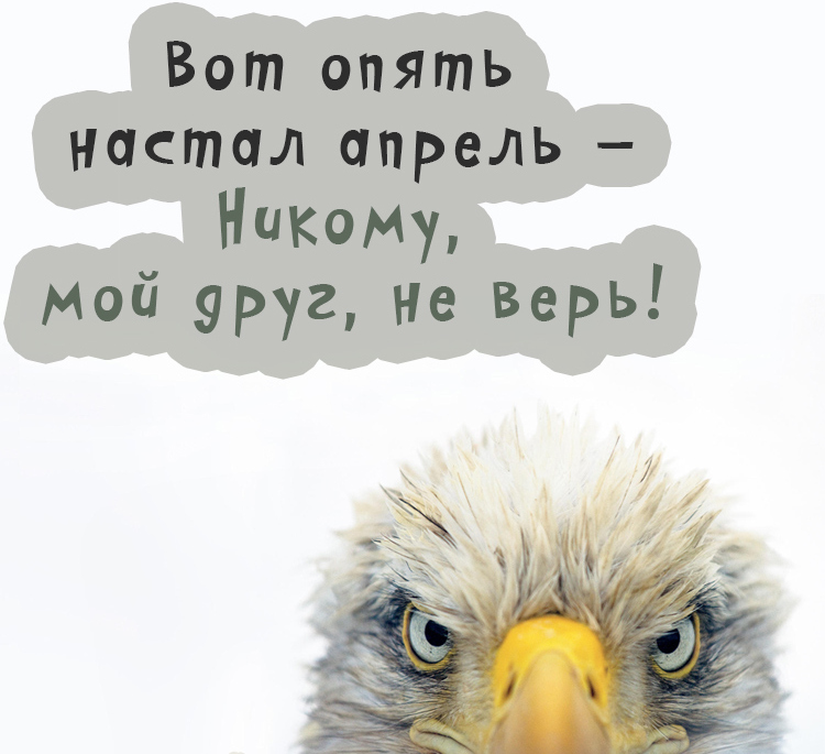 Поздравление 1 апреля открытки смешные.