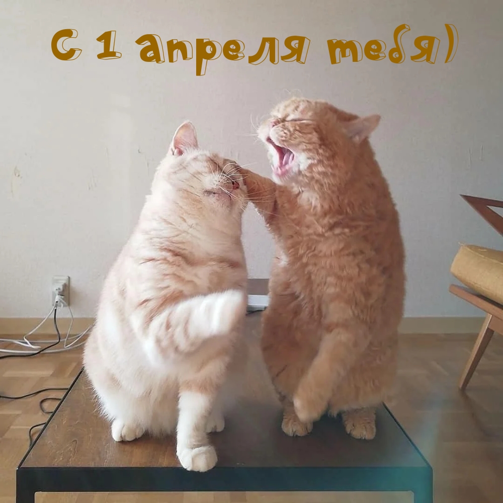 Прикольные картинки с 1 апреля.