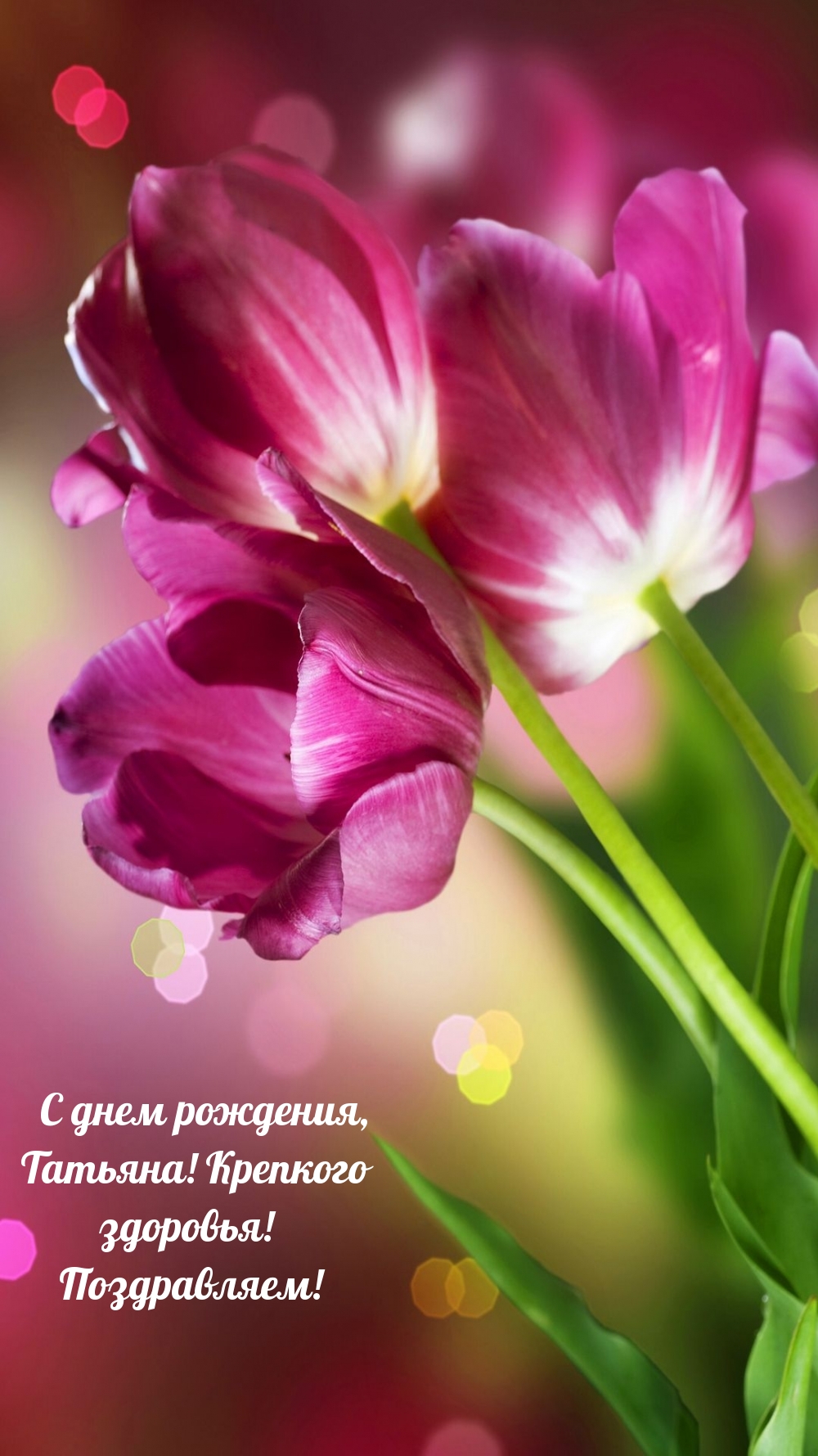 Хостинг картинок yapx.ru