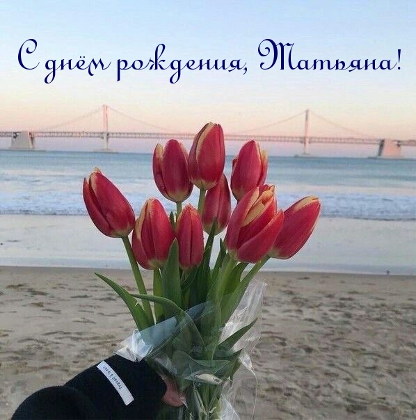 Хостинг картинок yapx.ru