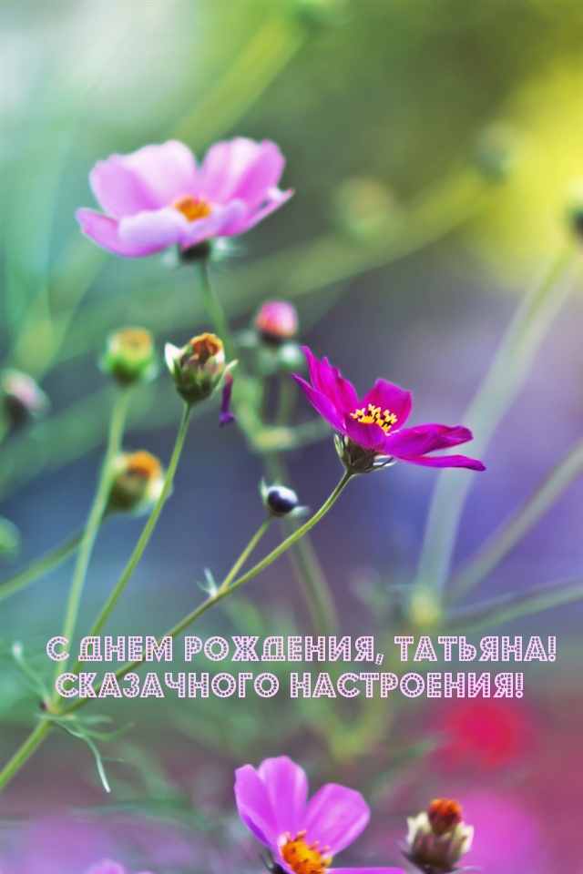 Хостинг картинок yapx.ru