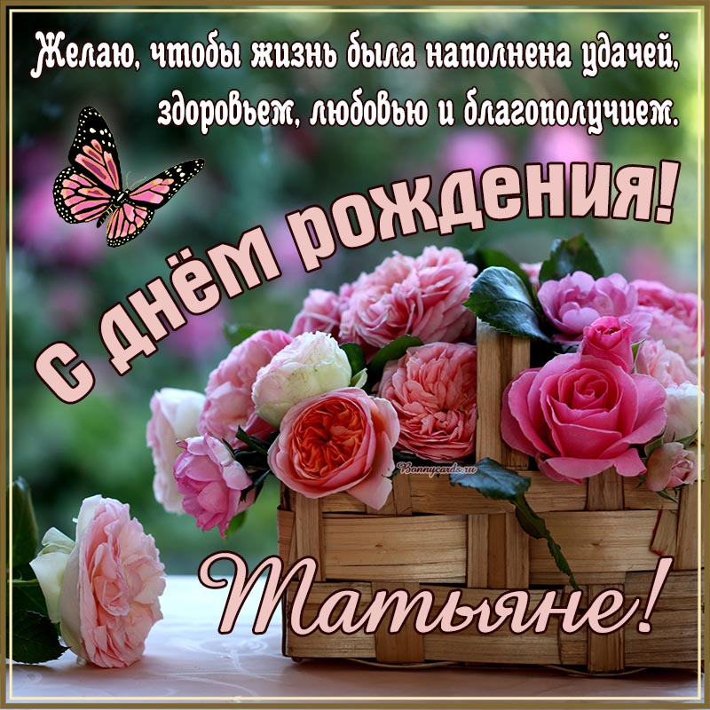 Хостинг картинок yapx.ru