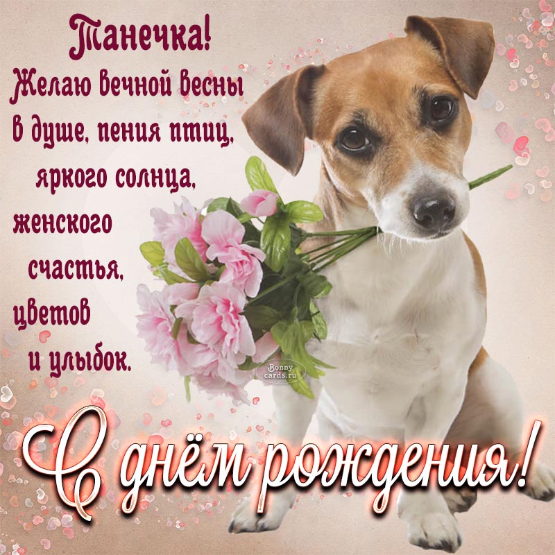 Хостинг картинок yapx.ru