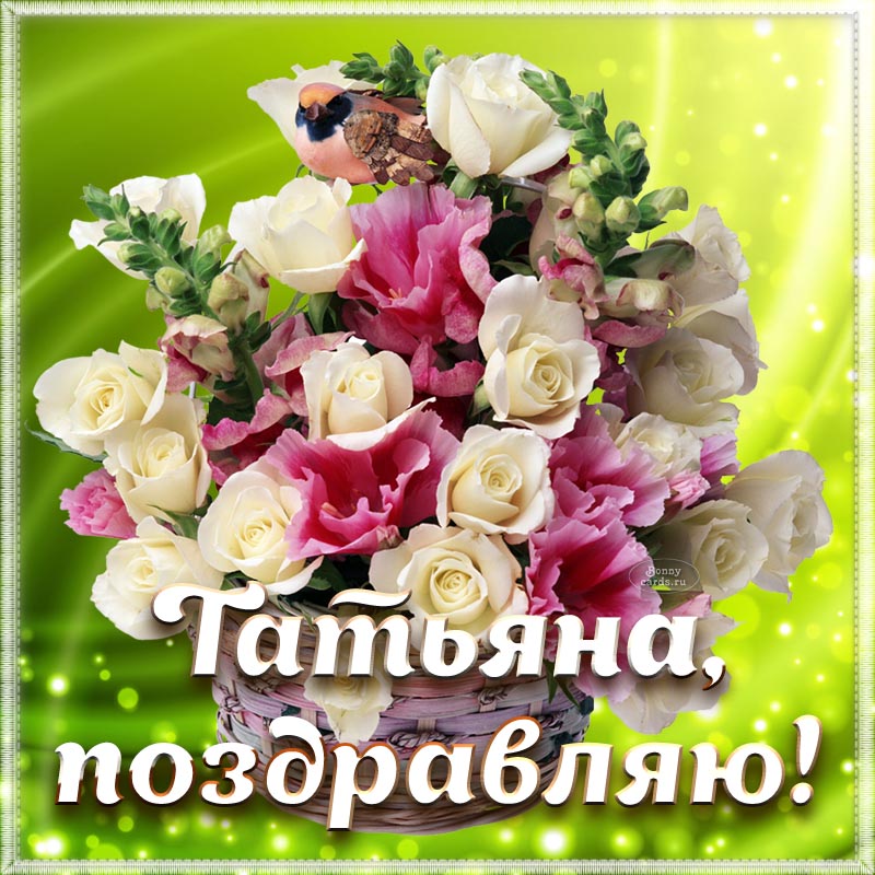 Хостинг картинок yapx.ru