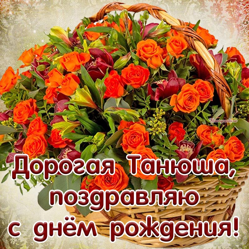 Хостинг картинок yapx.ru