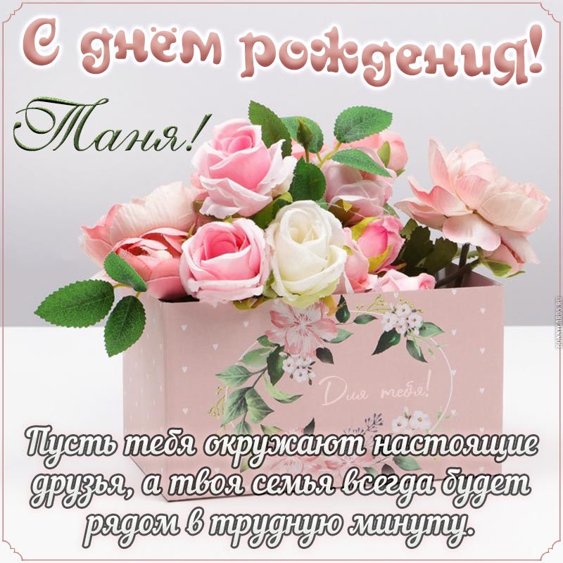 Хостинг картинок yapx.ru