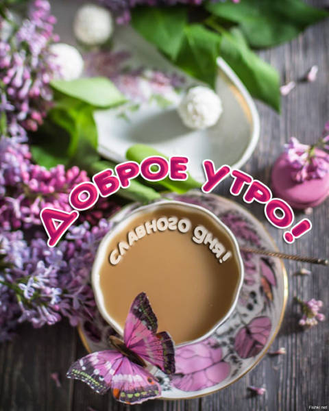 Доброгого майсконо утра Доброгого майсконо утра