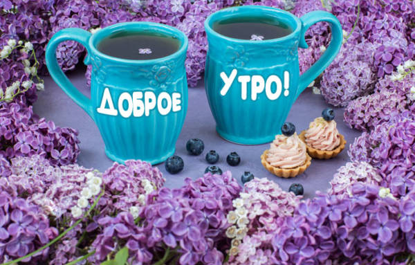 Открытка с добрым райским утром Открытка с добрым райским утром