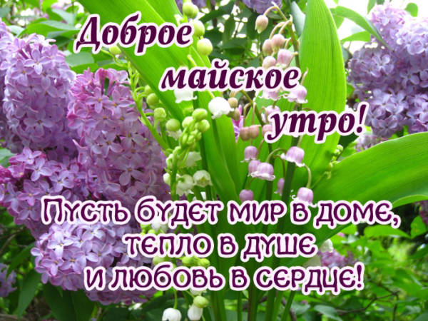 Доброе Майское утро Доброе Майское утро